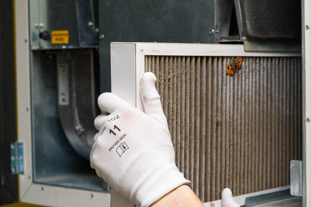 Best Affordable Duct Cleaning Services  in Russellville, KY